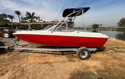 Stingray 205